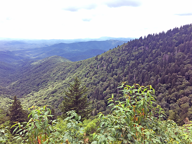 Blue Ridge View by Ventures Birding