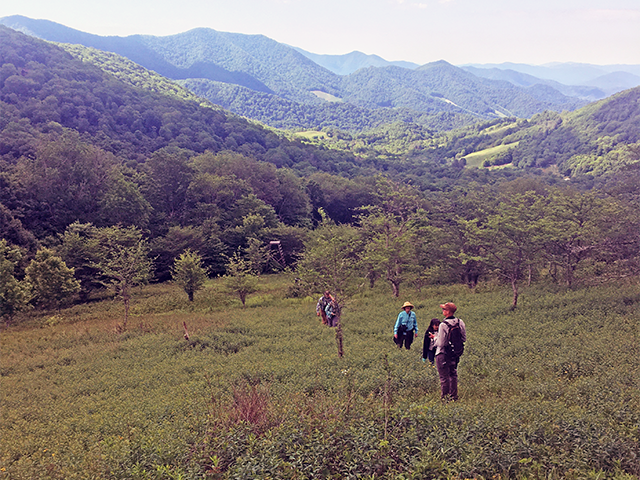 Group at Roan Mtn, NC by Ventures Birding