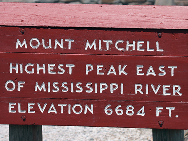 Mt. Mitchell by Ventures Birding